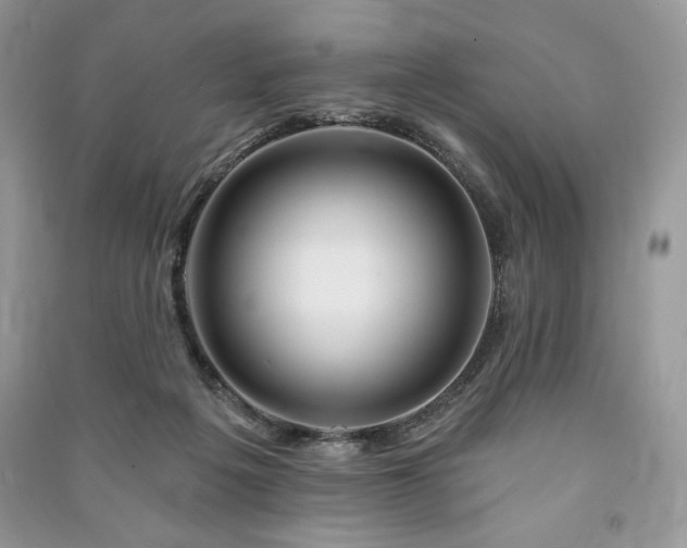 X0000090970217200708091443