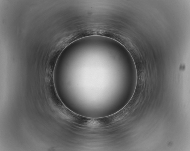 X0000090970218200708091443