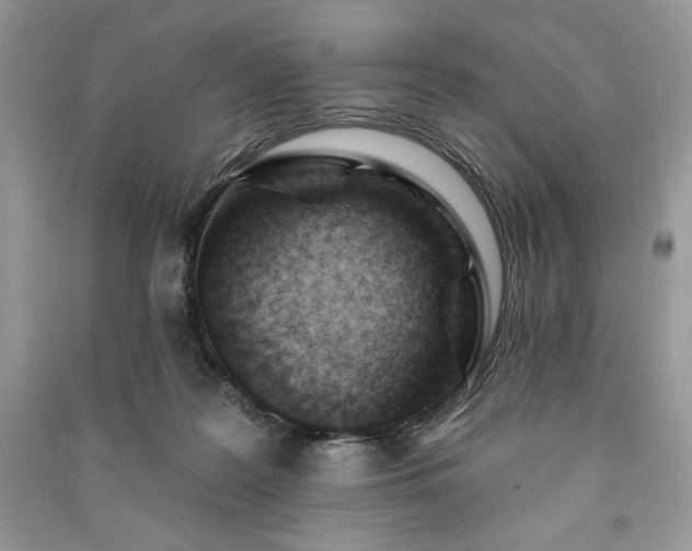 X0000090970219200708091443