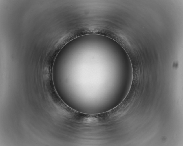 X0000090970220200708091443