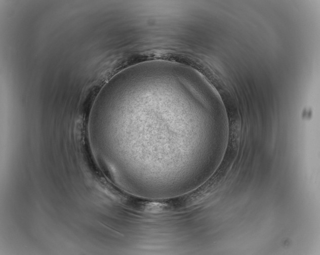 X0000090970222200708091443