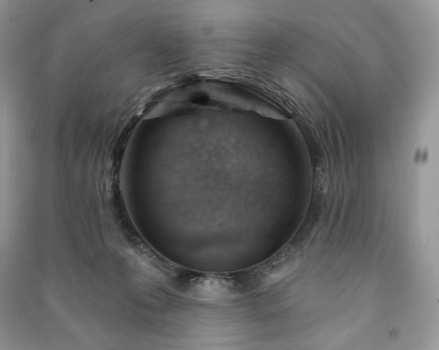 X0000090970223200708091443