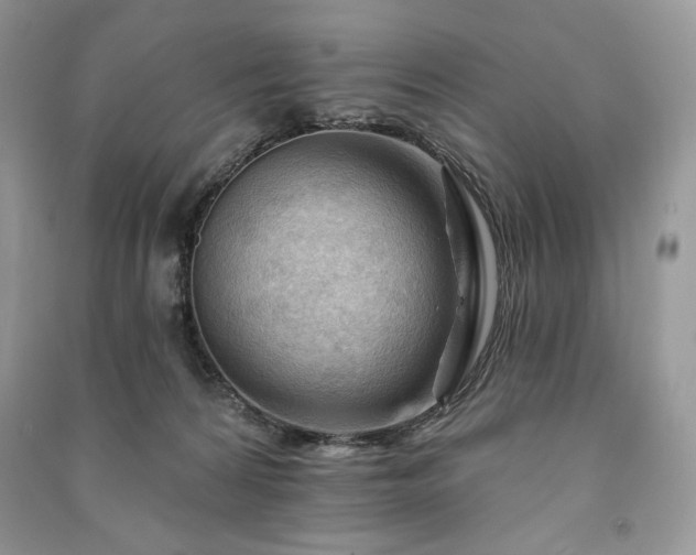 X0000090970224200708091443