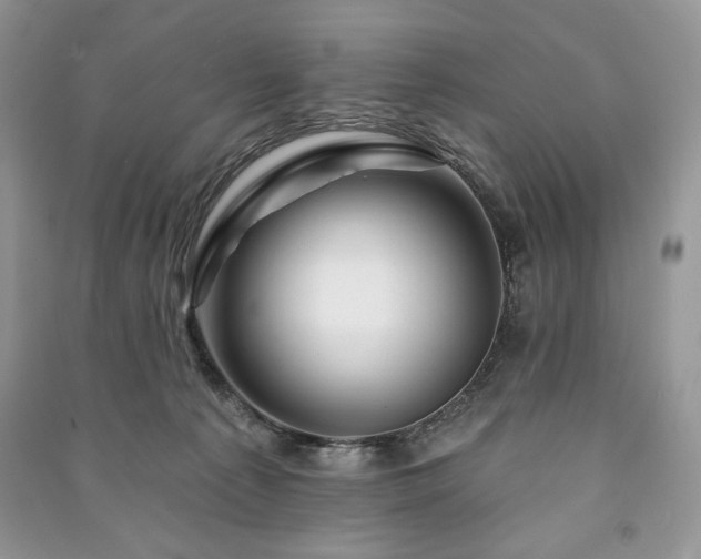 X0000090970225200708091443