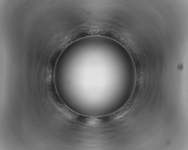 X0000090970226200708091443