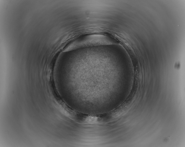 X0000090970227200708091443