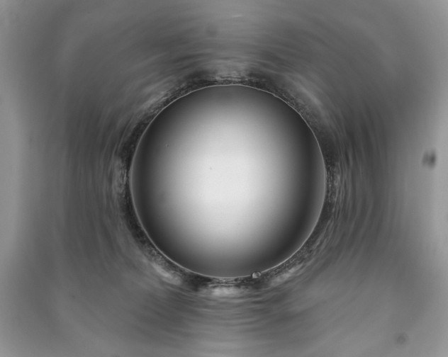 X0000090970228200708091443