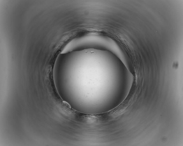 X0000090970229200708091443