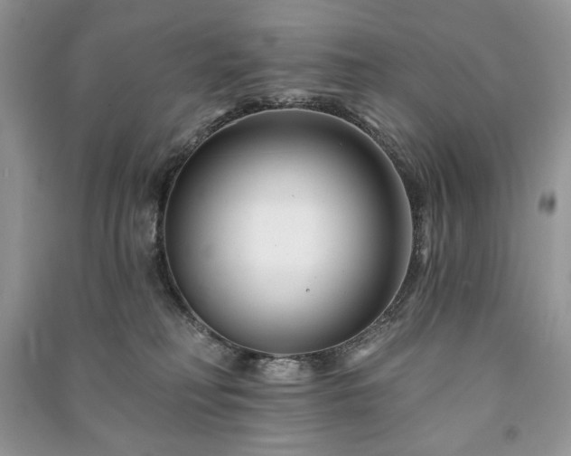 X0000090970230200708091443