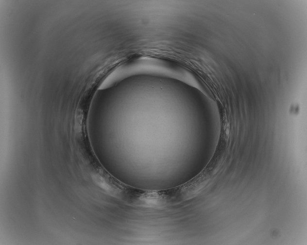 X0000090970231200708091443