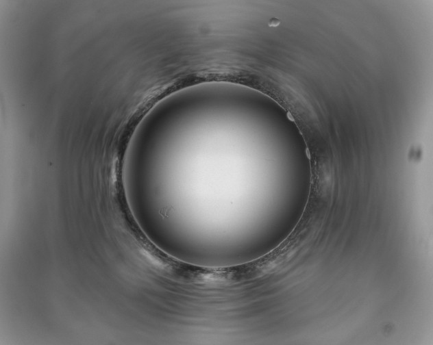 X0000090970232200708091443