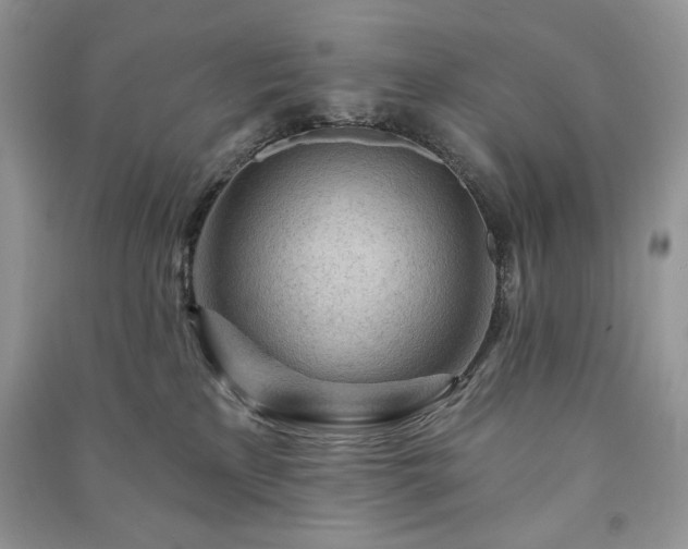 X0000090970233200708091443