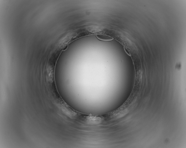 X0000090970234200708091443