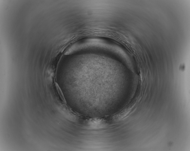 X0000090970235200708091443