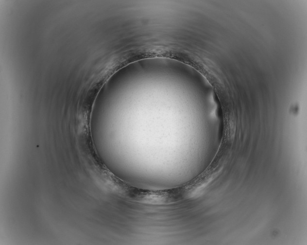 X0000090970236200708091443