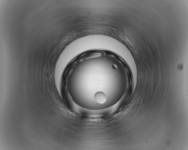 X0000090970237200708091443