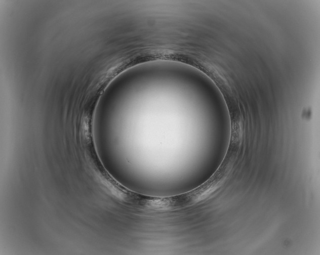 X0000090970238200708091443