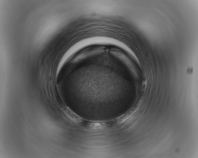 X0000090970239200708091443