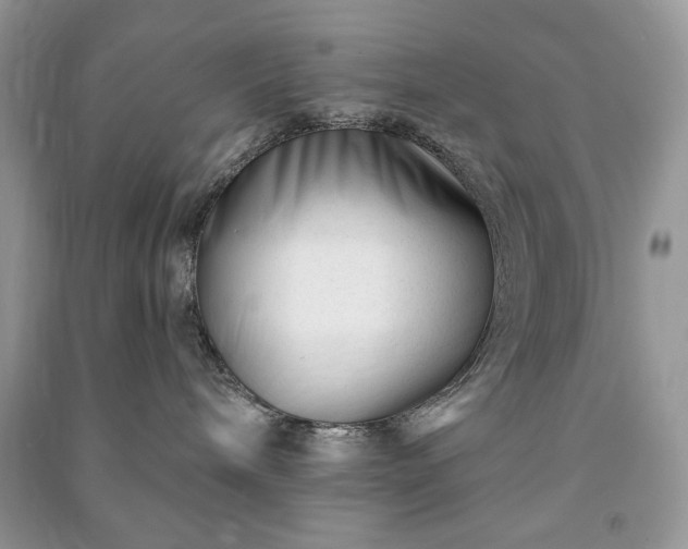 X0000090970240200708091443