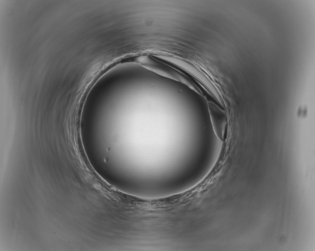 X0000090970241200708091442