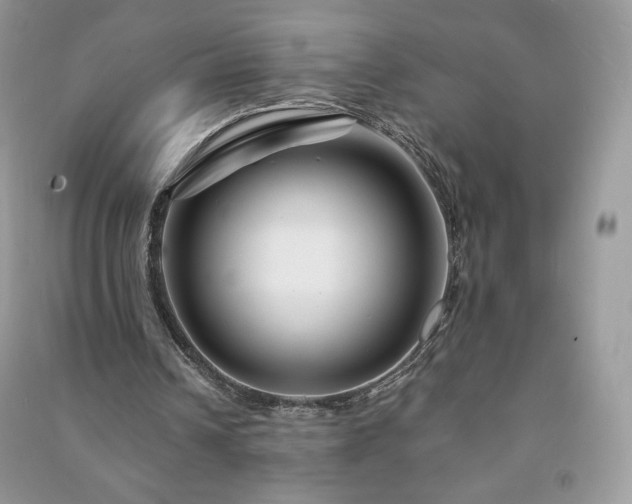 X0000090970242200708091442