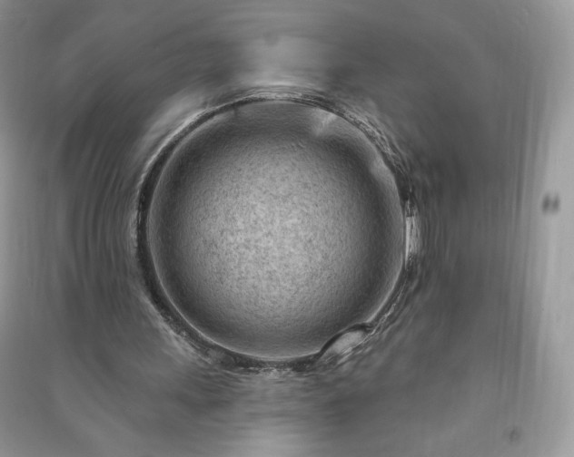 X0000090970243200708091442