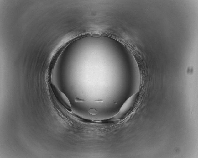 X0000090970244200708091442