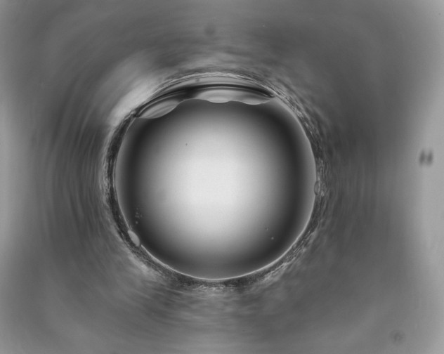 X0000090970245200708091442