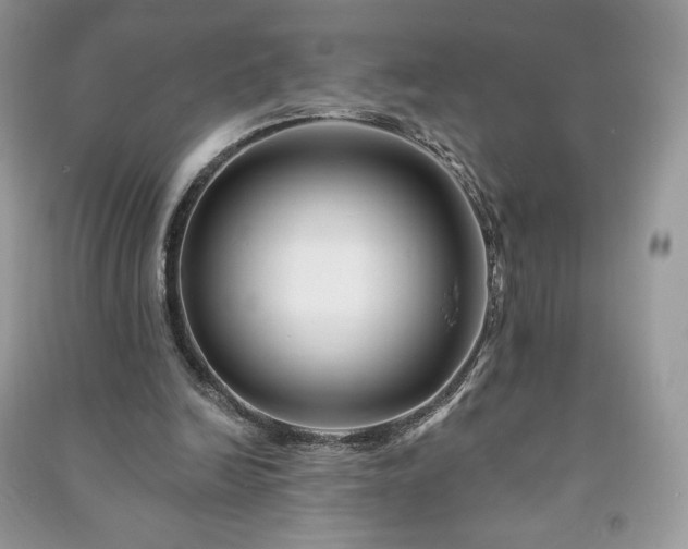 X0000090970246200708091442