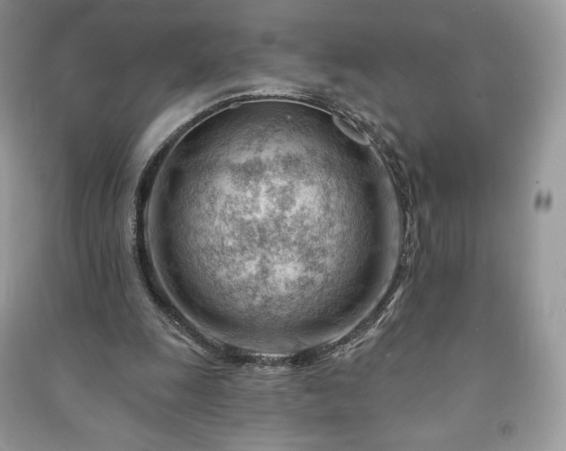 X0000090970247200708091442