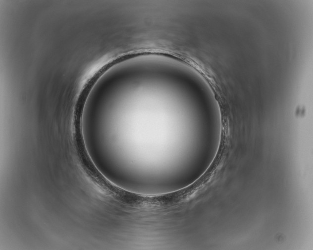 X0000090970248200708091442