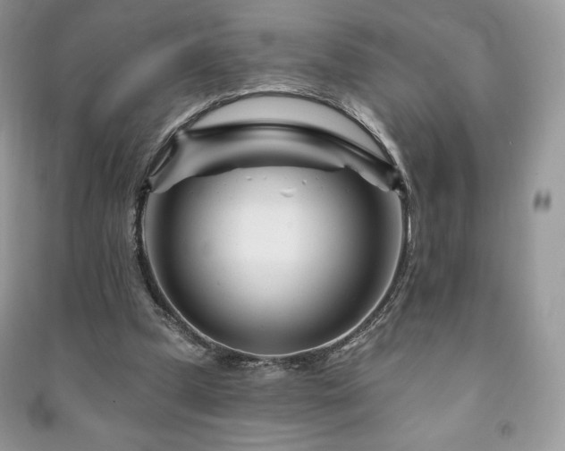 X0000090970249200708091442