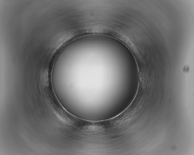 X0000090970251200708091442