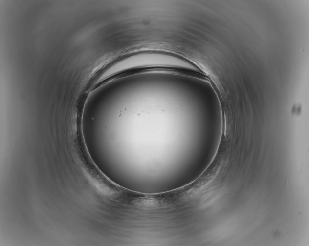 X0000090970253200708091442