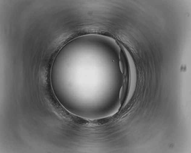 X0000090970255200708091442