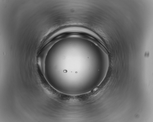 X0000090970256200708091442