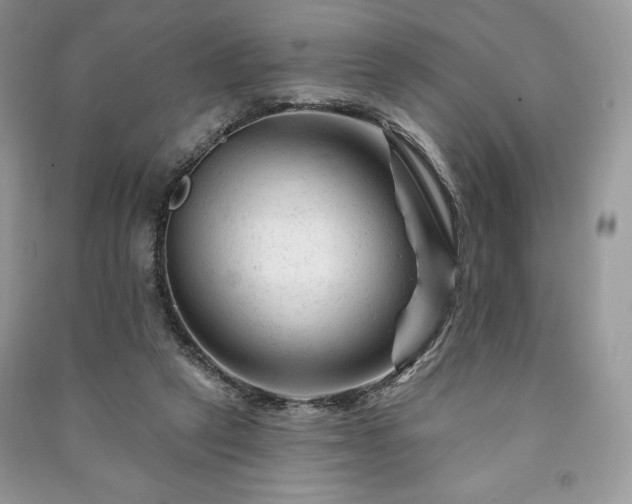 X0000090970257200708091442