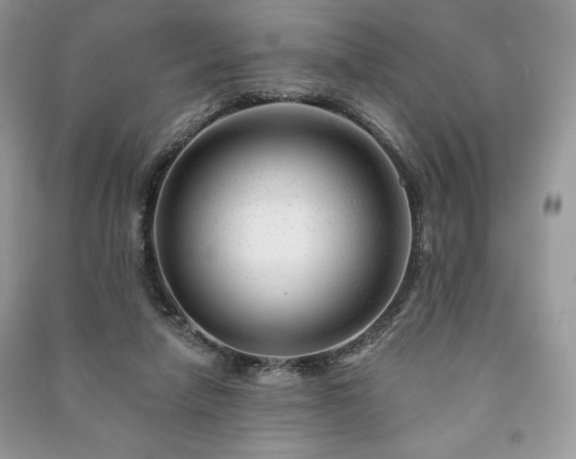 X0000090970258200708091442