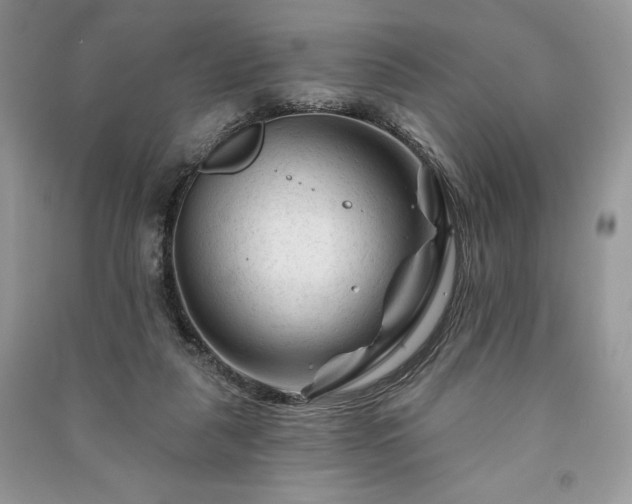 X0000090970259200708091442