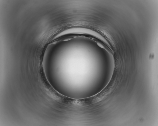 X0000090970261200708091442