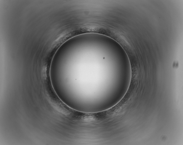 X0000090970262200708091442