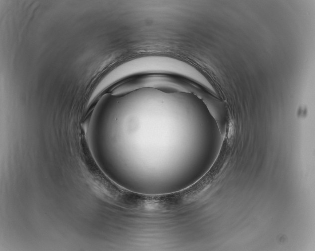 X0000090970264200708091442