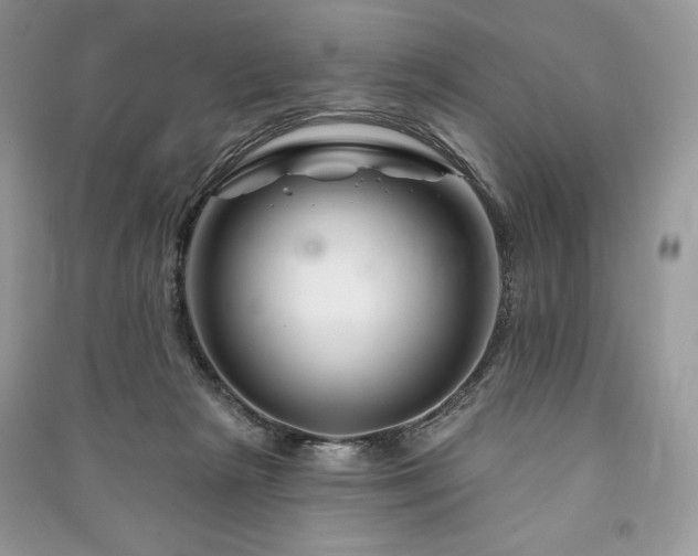 X0000090970265200708091442