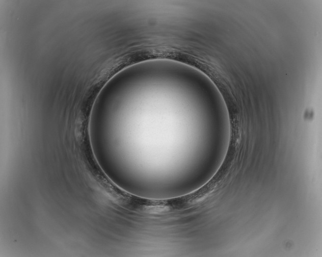 X0000090970266200708091442