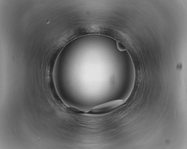 X0000090970267200708091442