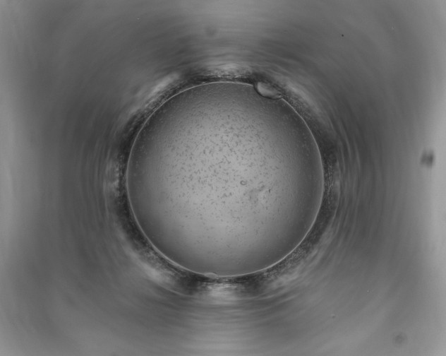 X0000090970268200708091442