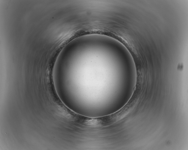 X0000090970269200708091442