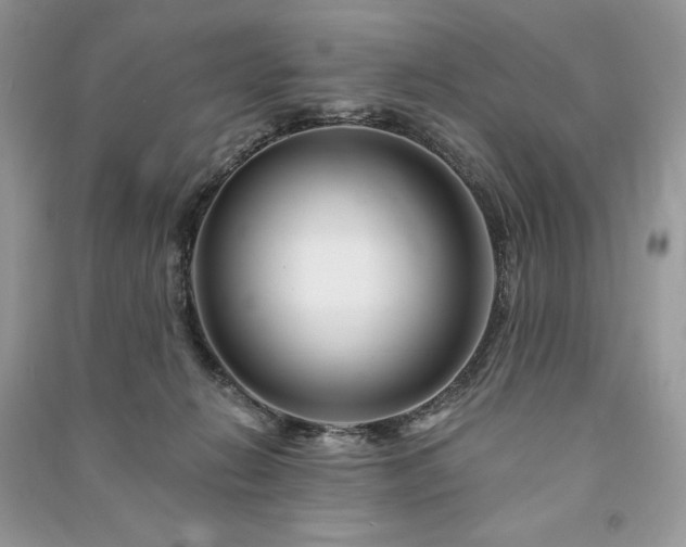 X0000090970270200708091442