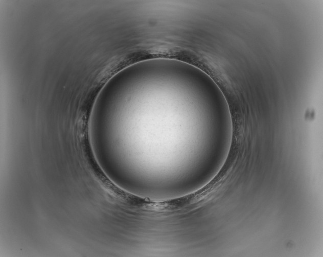 X0000090970273200708091442