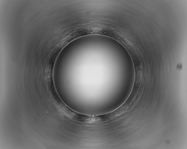 X0000090970274200708091442